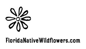 Florida Native Wildflowers - Maple Street Natives, Inc. 