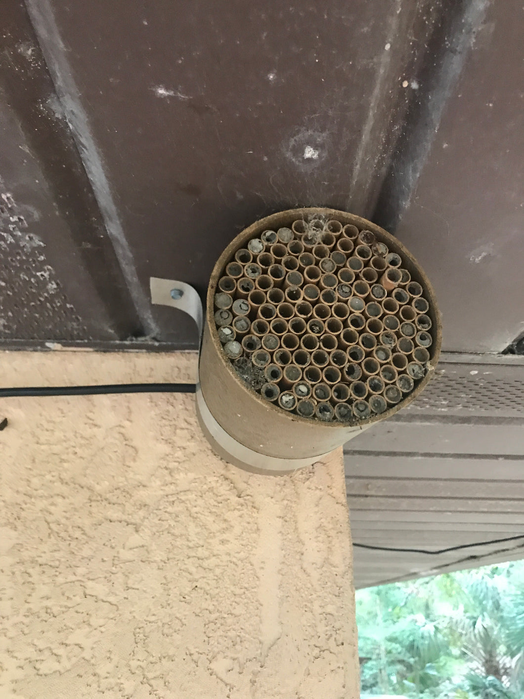 Pollinator Nest